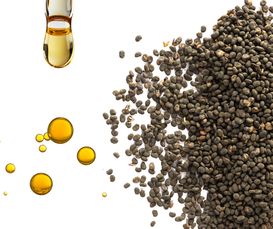 Bakuchiol vs Retinol & other retinol alternatives