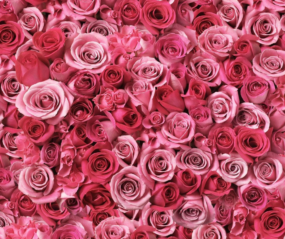 Coconut Rose Anti-Aging Face Cream with Bakuchiol