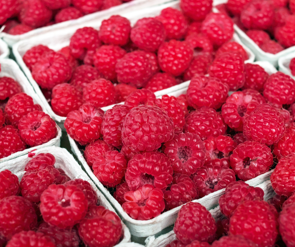 Untitled design - 2023-11-25T080232.310.png