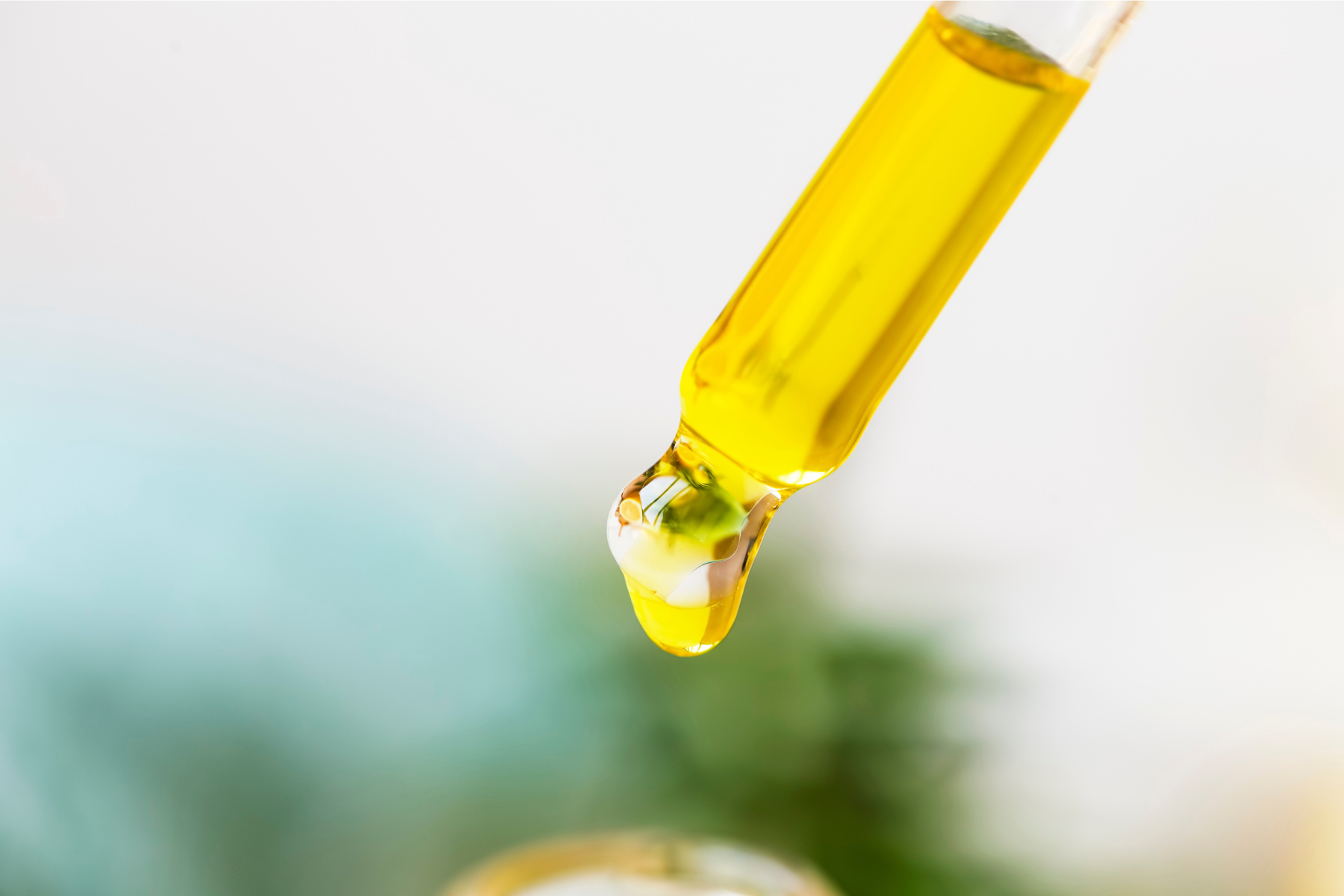 Ingredients Borago Officinalis Seed Oil (Borage Seed Oil), Salvia Hispanica Seed Oil (Chia