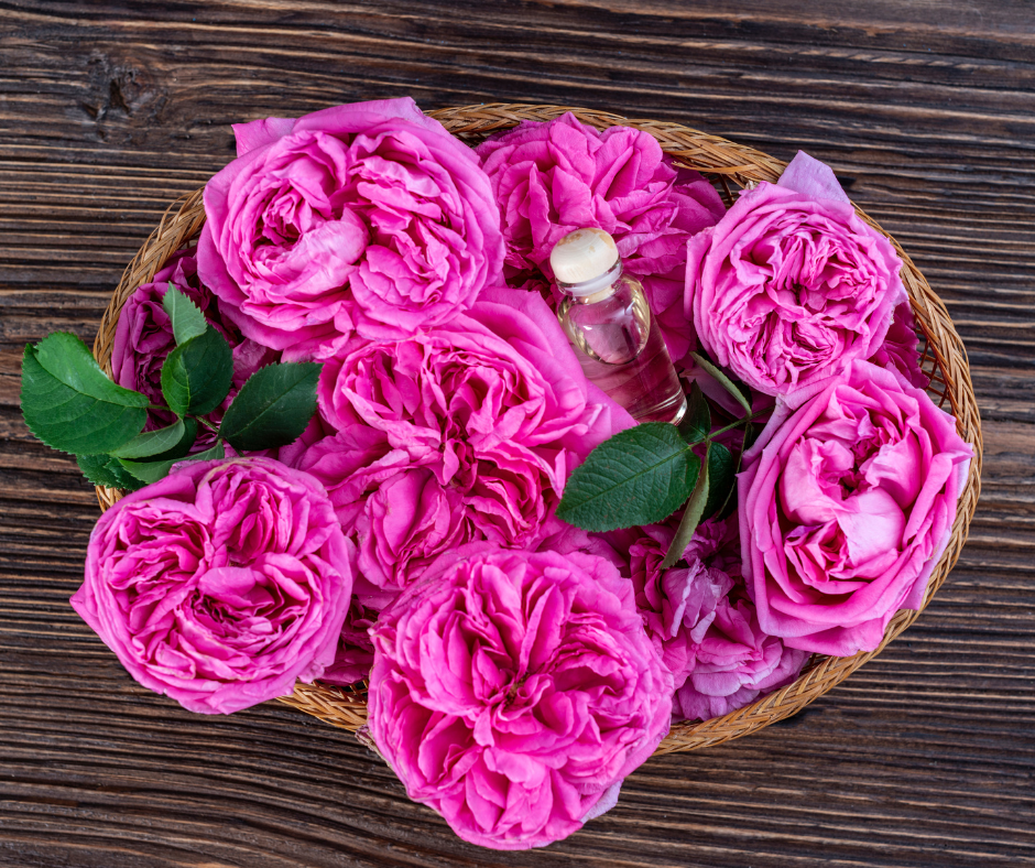 Untitled design - 2024-02-08T182613.626.png