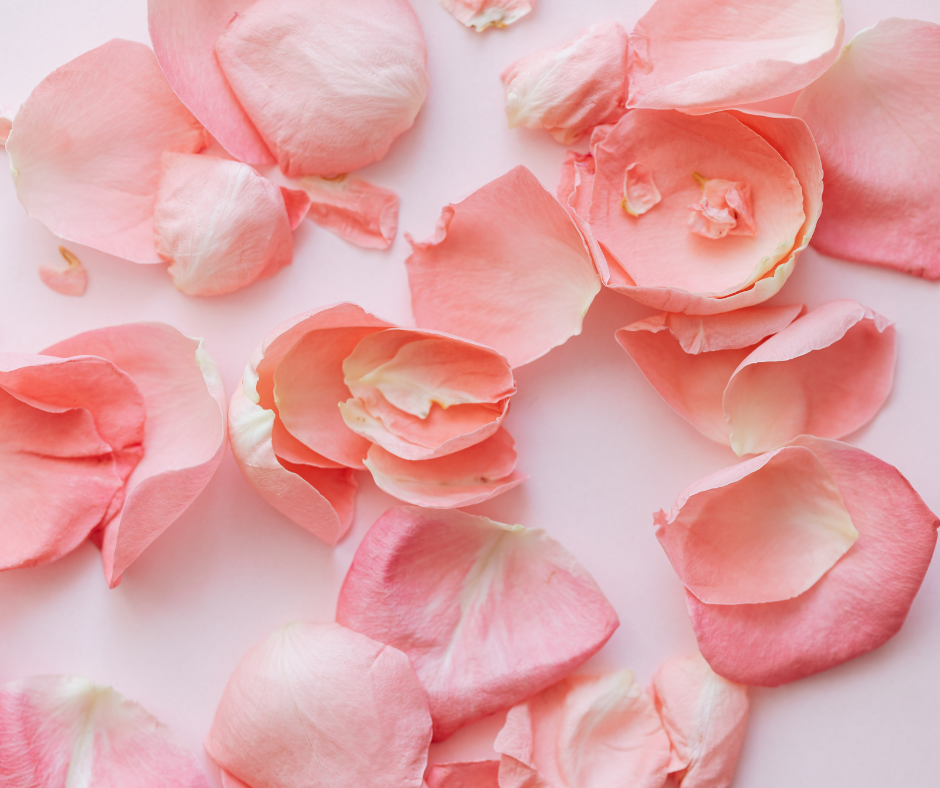 Untitled design - 2023-12-03T134221.474.png