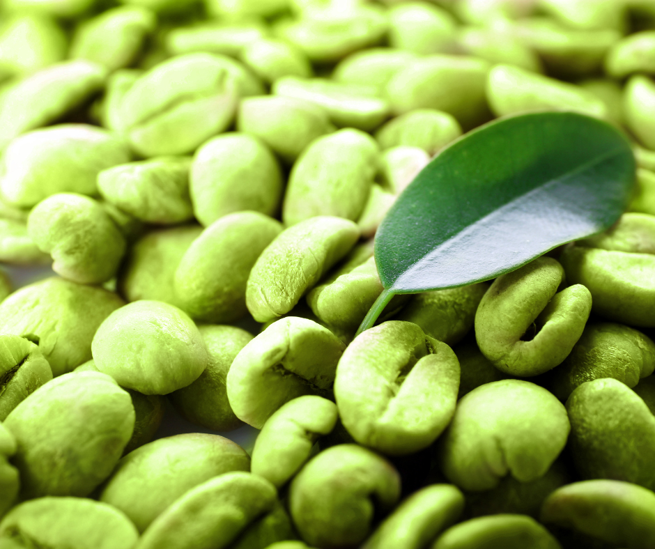 Untitled design - 2023-11-13T174840.608.png