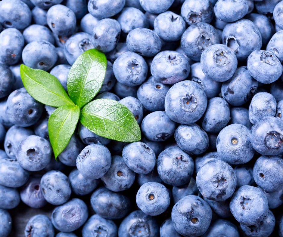 Cold Pressed Blueberry Seed Oil