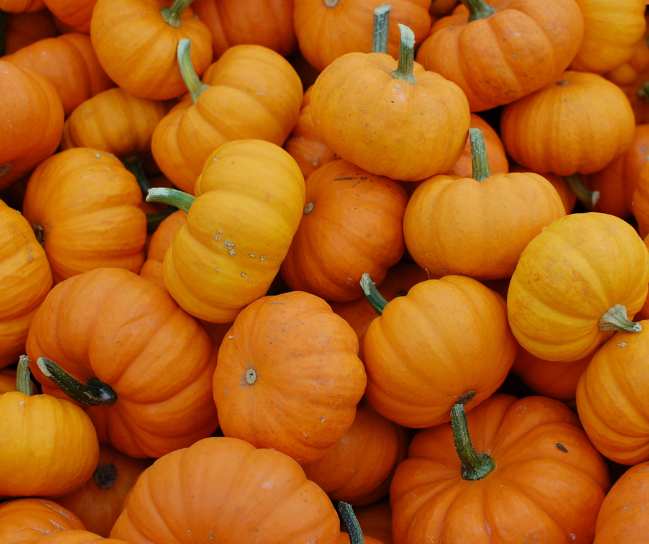 Untitled design - 2024-11-07T083609.973.png